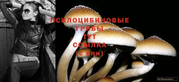 круглые Киренск