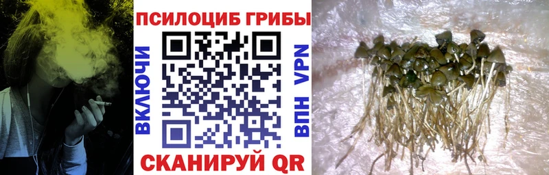 Псилоцибиновые грибы ЛСД  Купить где  Волжск 